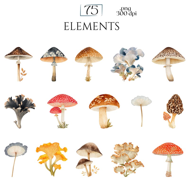 Watercolor Mushroom Clipart, Botanical Mushroom Graphics, Woodland Fungi Illustrations (75 Files, Transparent Background)