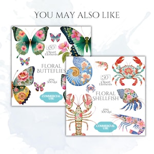 May include: Two digital art sets with floral designs. One set features butterflies with pink and teal wings, and the other showcases shellfish with floral patterns. Each set includes multiple elements for commercial use.
