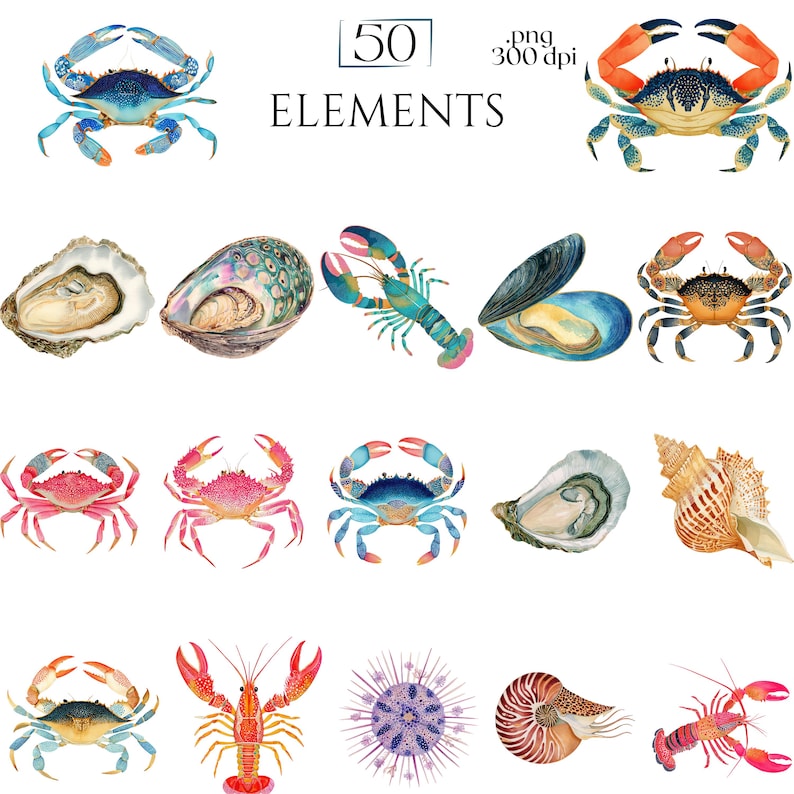 Shellfish Clipart, Crab Lobster Shrimp Oyster Seashell Illustration, Ocean Seafood PNG Elements for Crafts, Coastal Nautical Marine Graphics