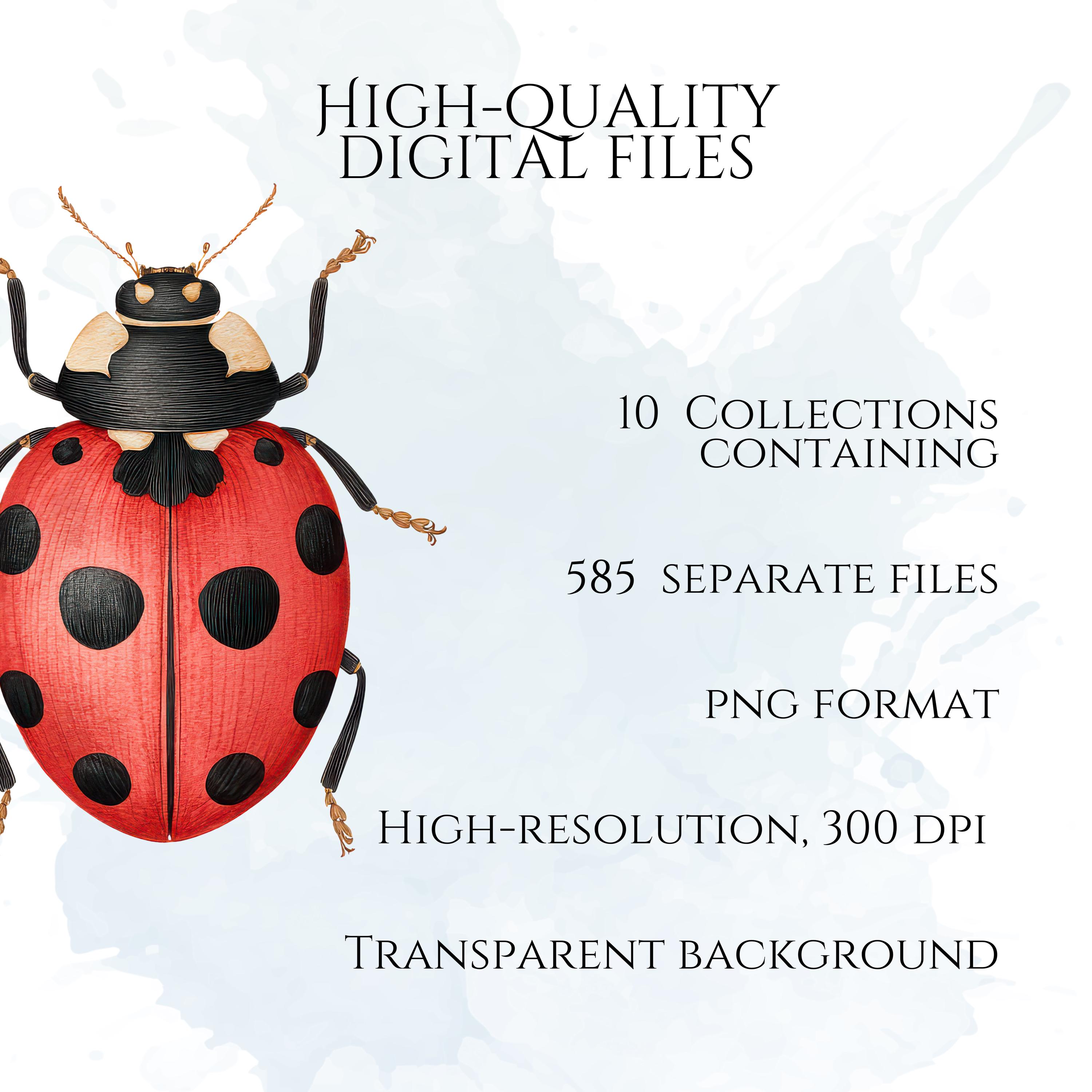 Insect Clipart Mega Bundle, Bug PNG Graphics, Butterfly Beetle Ant ...