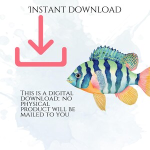 Pastel Fish Clipart, Delicate Coastal PNG Graphics, Tropical Fish Illustrations (60 Files, Transparent Background)