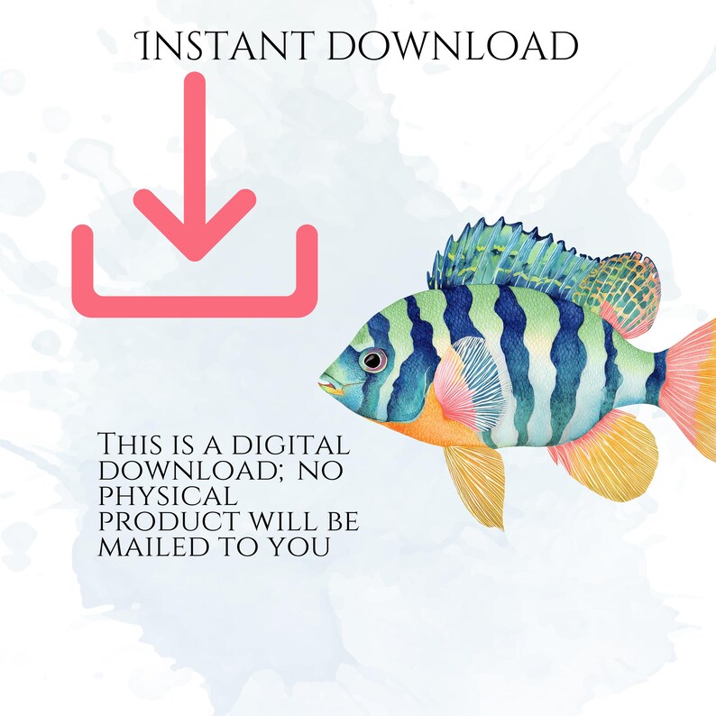 Pastel Fish Clipart, Delicate Coastal PNG Graphics, Tropical Fish Illustrations (60 Files, Transparent Background)