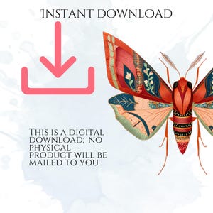 Art Deco Insect Clipart, Vintage Bug Graphics, Modern Cicada Dragonfly Moth Illustrations (50 Files, Transparent Background)