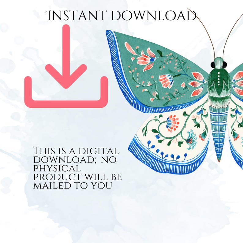 Folk Art Moths Clipart, Floral Moth PNG Illustrations, Decorative Botanical Insect Graphics (60 Files, Transparent Background)