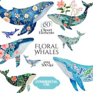 Imágenes prediseñadas de ballenas florales, gráficos PNG de ballenas botánicas, ilustraciones de ballenas florales de estilo chinoiserie (60 archivos, fondo transparente)