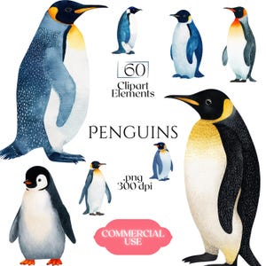 May include: A collection of watercolour penguin illustrations in blue, black, yellow, and white. The image features the text "PENGUINS", "60 Clipart Elements", ".png 300 dpi", and "COMMERCIAL USE".