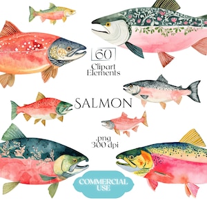 Könnte beinhalten: Eine Sammlung von Aquarell-Lachs-Illustrationen mit verschiedenen Fischen in Rosa-, Orange- und Grüntönen. Das Bild enthält den Text 60 Clipart Elements, SALMON, .png 300 dpi und COMMERCIAL USE. Die Fische zeigen detaillierte Schuppenmuster.