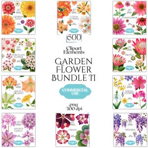 May include: A digital collection of 600 floral clipart elements titled Garden Flower Bundle II. The set features watercolor-style illustrations of gerbera daisies, clivia, coneflowers, porcelain flowers, protea, angel's trumpet, spring flowers, society garlic, oxalis, and wisteria.