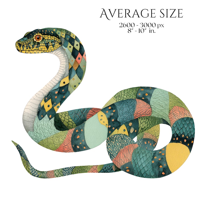 Watercolor Snakes Clipart, Colorful Snake Illustrations, Reptile PNG Elements for Crafts, Serpent Graphics for Classroom Decor, Junk Journal