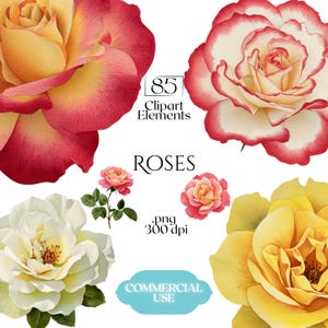 Peut inclure: Éléments de clipart de roses à l'aquarelle dans différentes couleurs, dont le jaune, le rouge et le blanc. L'image comprend le texte "85 Clipart Elements", "Roses" et "Commercial Use."
