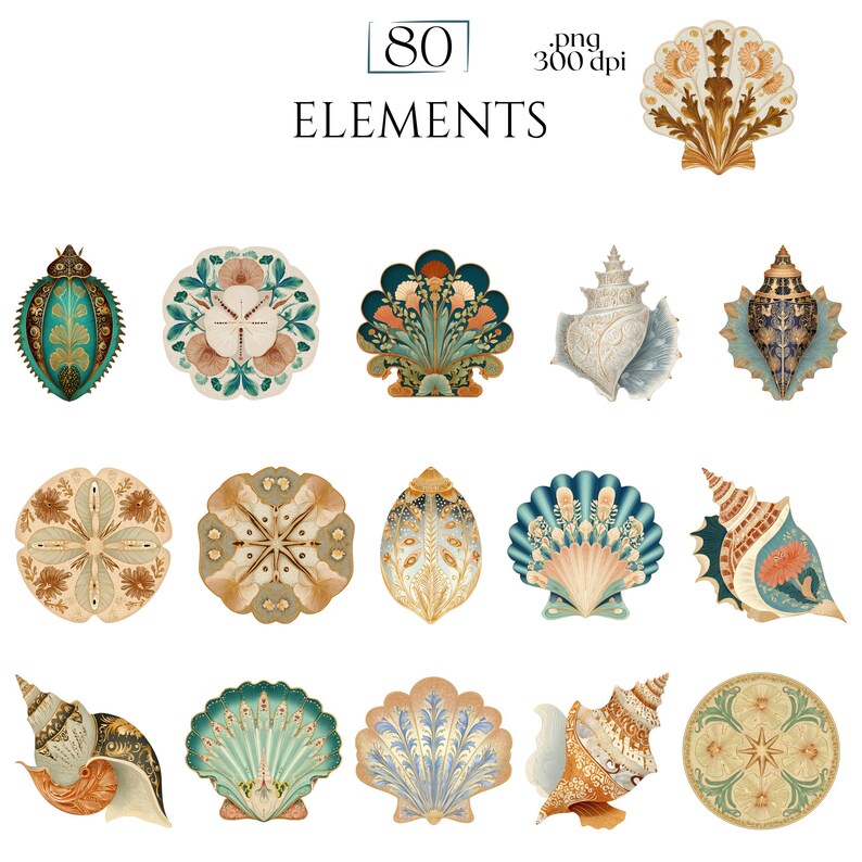 Art Nouveau Seashells Clipart, Ornamental Vintage Sea Shell PNG Graphics with Transparent Background for Branding, Decor & POD