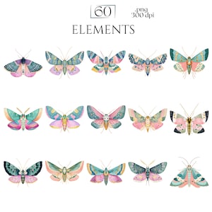 Pastel Moths Clipart, Watercolor Moth Illustrations, Colorful Moth PNG Graphics (60 Files, Transparent Background)
