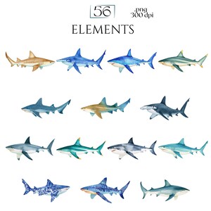 Shark Clipart, Watercolor Shark Illustrations, Shark Graphics for Kids' Room, Classroom Decor, Invitations, Branding & Print on Demand