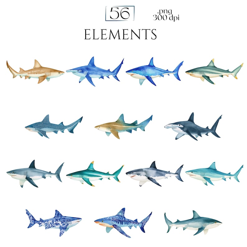 Shark Clipart, Watercolor Shark Illustrations, Shark Graphics for Kids' Room, Classroom Decor, Invitations, Branding & Print on Demand