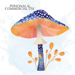 Watercolor Mushroom Clipart, Botanical Mushroom Graphics, Woodland Fungi Illustrations (75 Files, Transparent Background)