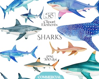 May include: A collection of 56 watercolor shark clipart elements featuring various species including a hammerhead, great white, and whale shark. The text reads 56 Clipart Elements SHARKS .png 300 dpi COMMERCIAL USE. The sharks are blue, grey, and tan.