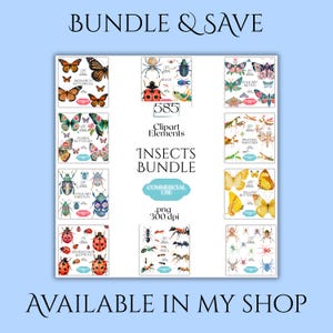 Puede incluir: Un paquete de im&aacute;genes predise&ntilde;adas digitales con 585 elementos de insectos en formato PNG a 300 dpi. La colecci&oacute;n incluye ilustraciones de mariposas monarca, insectos, polillas, mariposas florales, mantis religiosas, escarabajos, mariposas amarillas, mariquitas, hormigas y ara&ntilde;as.