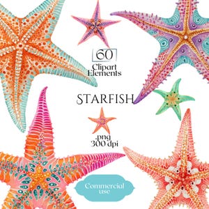 Puede incluir: Ilustraciones de acuarela de estrellas de mar en varios colores, incluyendo naranja, rosa, morado y verde. La imagen incluye el texto "STARFISH", "60 Clipart Elements", ".png 300 dpi" y "Commercial use".