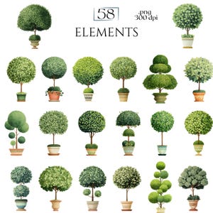 Topiary Clipart, Garden Tree Elements, Potted Greenery Clip Art, Formal Landscape Decorative Plant Illustrations Commercial Use Plant Images