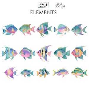 Pastel Fish Clipart, Delicate Coastal PNG Graphics, Tropical Fish Illustrations (60 Files, Transparent Background)