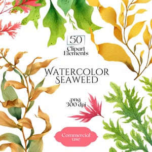 Può includere: Una collezione di illustrazioni di alghe ad acquerello con varie forme di piante acquatiche verdi, gialle e rosa. Il testo recita 50 Clipart Elements, WATERCOLOR SEAWEED, .png 300 dpi e Commercial use su sfondo bianco.