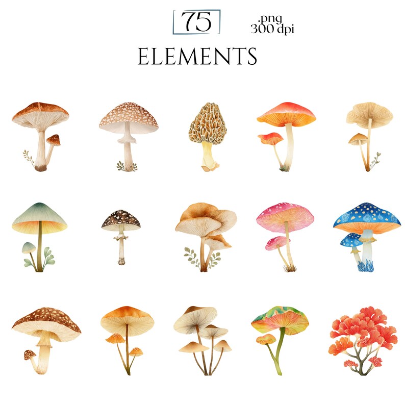 Watercolor Mushroom Clipart, Botanical Mushroom Graphics, Woodland Fungi Illustrations (75 Files, Transparent Background)