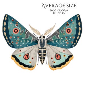 Moths Clipart, Colorful Moth Illustrations, Vintage Insect PNG Elements, Botanical Moth Graphics, Moth Scrapbook, Insect Crafts Junk Journal
