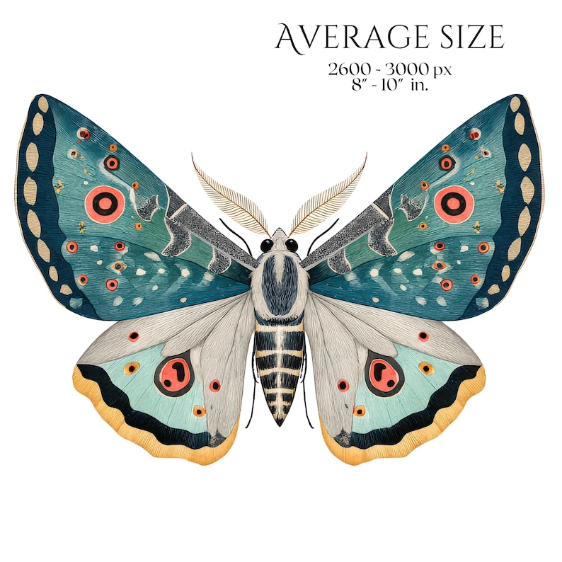 Moths Clipart, Colorful Moth Illustrations, Vintage Insect PNG Elements, Botanical Moth Graphics, Moth Scrapbook, Insect Crafts Junk Journal