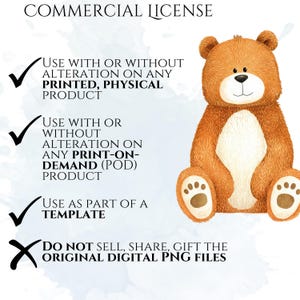 Teddy Bear Clipart, Cute Bear PNG Graphics, Baby Shower & Nursery Illustrations (55 Files, Transparent Background)