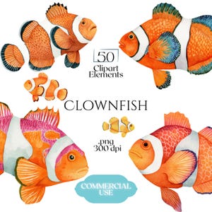 May include: Watercolor illustrations of clownfish in various poses. The fish are primarily orange with white stripes and black accents. The image includes the text "50 Clipart Elements", "Clownfish", ".png 300 dpi", and "Commercial Use".