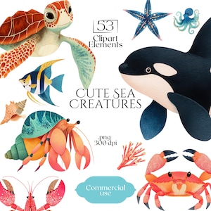 Könnte beinhalten: Eine digitale Sammlung von 53 Meeresbewohner-Cliparts im Aquarellstil, darunter eine Meeresschildkröte, ein Orca, eine Krabbe, ein Einsiedlerkrebs, ein Hummer, ein Kaiserfisch, ein Seestern, ein Oktopus und Korallen. Der Text lautet 53 Clipart Elements, CUTE SEA CREATURES, .png 300 dpi, Commercial use.