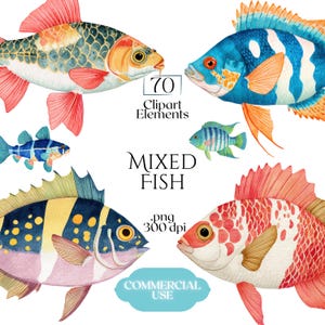 Op de afbeelding: Een verzameling van vijf aquarelvisillustraties met verschillende soorten met levendige schubben in blauwe, oranje, gele en rode tinten. De tekst bevat 70 Clipart Elements, MIXED FISH, .png 300 dpi en COMMERCIAL USE.