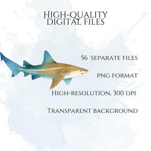 Shark Clipart, Watercolor Shark Illustrations, Shark Graphics for Kids' Room, Classroom Decor, Invitations, Branding & Print on Demand