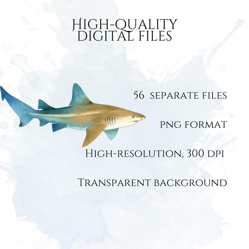 Shark Clipart, Watercolor Shark Illustrations, Shark Graphics for Kids' Room, Classroom Decor, Invitations, Branding & Print on Demand