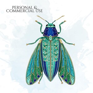 Art Deco Insect Clipart, Vintage Bug Graphics, Modern Cicada Dragonfly Moth Illustrations (50 Files, Transparent Background)