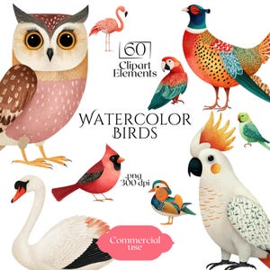 Watercolor Birds Clipart, Colorful Bird PNG Bundle, Exotic & Woodland Watercolor Birds, High-Resolution Avian Graphics, Commercial Use Fowl