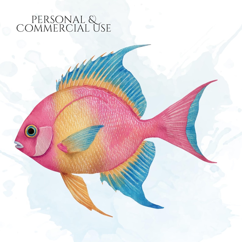 Pastel Fish Clipart, Delicate Coastal PNG Graphics, Tropical Fish Illustrations (60 Files, Transparent Background)