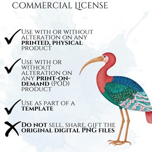William Morris Birds Clipart, Morris-Inspired PNG Graphics, Arts & Crafts Bird Illustrations (60 Files, Transparent Background)