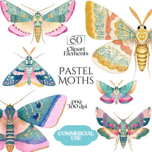Pastel Moths Clipart, Watercolor Moth Illustrations, Colorful Moth PNG Graphics (60 Files, Transparent Background)