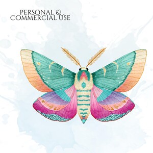 Pastel Moths Clipart, Watercolor Moth Illustrations, Colorful Moth PNG Graphics (60 Files, Transparent Background)