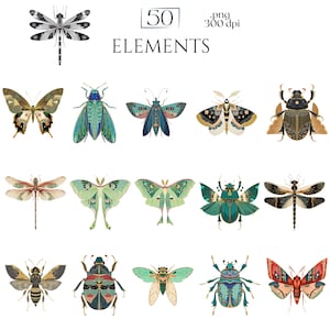 Art Deco Insect Clipart, Vintage Bug Graphics, Modern Cicada Dragonfly Moth Illustrations (50 Files, Transparent Background)