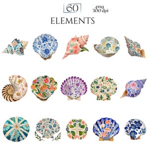 Floral Seashells Clipart, Chinoiserie Seashell PNG Graphics, Coastal Floral Shell Illustrations (60 Files, Transparent Background)