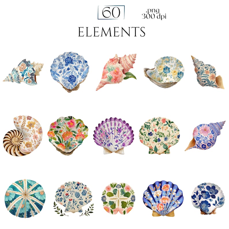 Floral Seashells Clipart, Chinoiserie Seashell PNG Graphics, Coastal Floral Shell Illustrations (60 Files, Transparent Background)