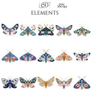 Folk Art Moths Clipart, Floral Moth PNG Illustrations, Decorative Botanical Insect Graphics (60 Files, Transparent Background)