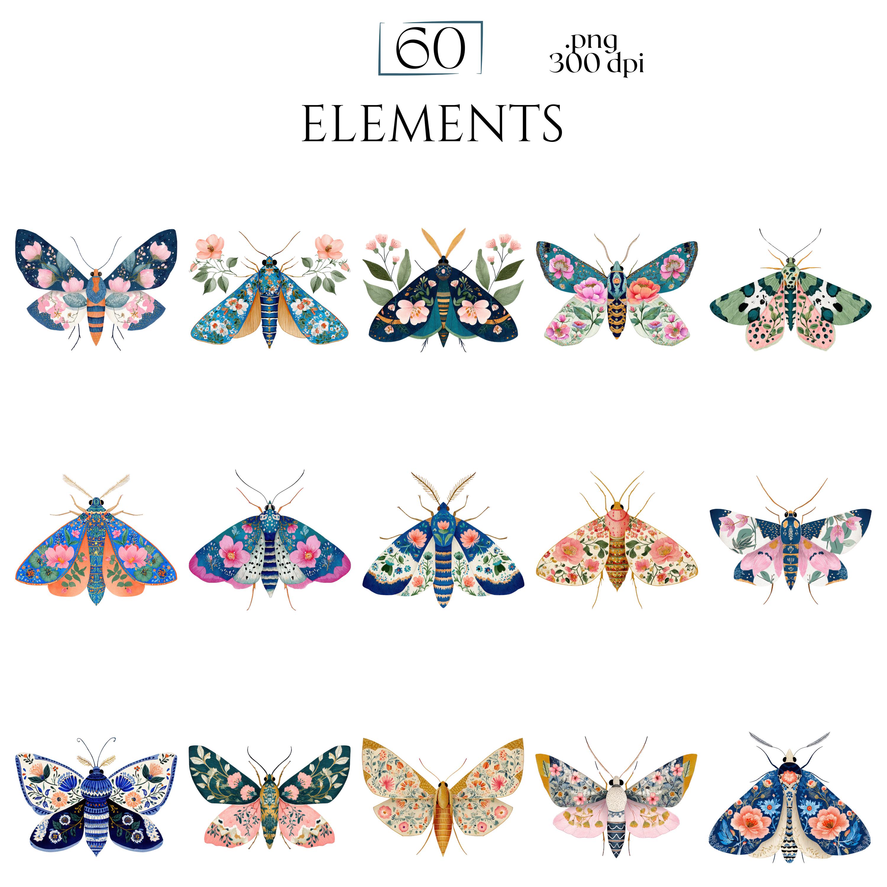 Folk Art Moths Clipart, Floral Moth PNG Illustrations, Decorative ...