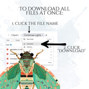 Puede incluir: Un gr&aacute;fico de instrucciones digitales que muestra c&oacute;mo descargar archivos. El texto dice: TO DOWNLOAD ALL FILES AT ONCE: 1. CLICK THE FILE NAME, 2. CLICK DOWNLOAD. Se superpone una ilustraci&oacute;n de cigarra estilizada con patrones geom&eacute;tricos verdes, naranjas y negros.