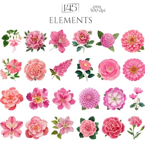 May include: A collection of 25 watercolor floral elements in shades of pink, with green leaves. The image includes various flower types, such as peonies, roses, and dahlias. The text "ELEMENTS" is at the top, with the number "145".