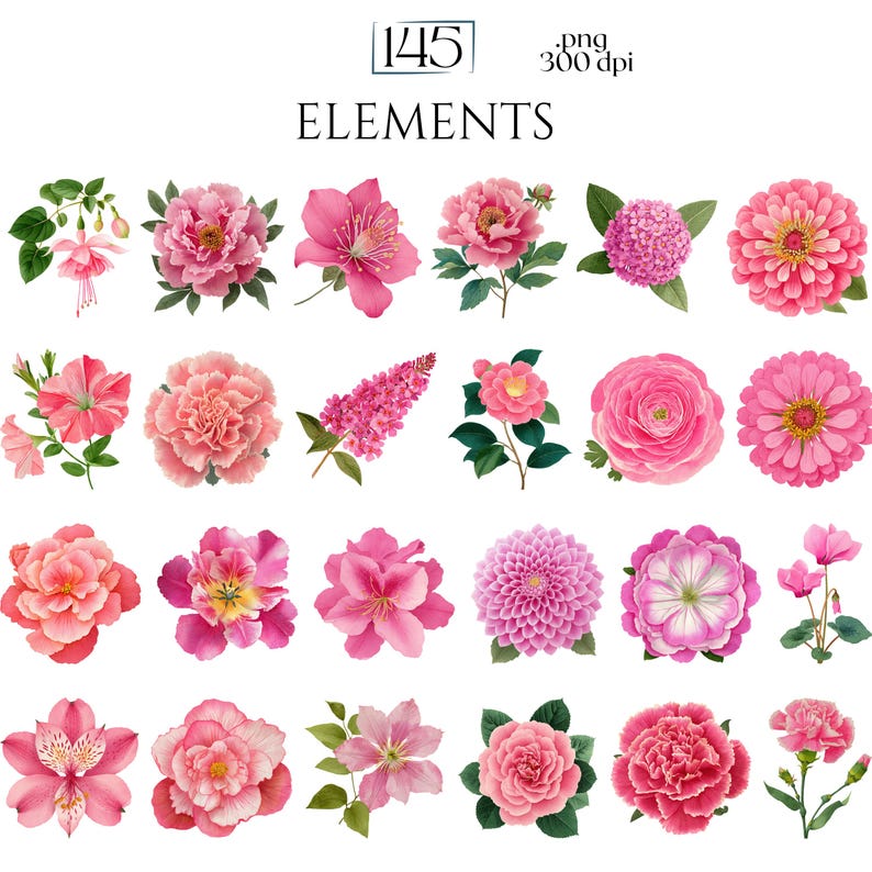 May include: A collection of 25 watercolor floral elements in shades of pink, with green leaves. The image includes various flower types, such as peonies, roses, and dahlias. The text "ELEMENTS" is at the top, with the number "145".