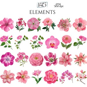 Pink Watercolor Flowers Clipart, Elegant Botanical PNG Bundle, Floral Illustrations for Wedding Invitations, Pinky Ephemera, Bloom Stickers