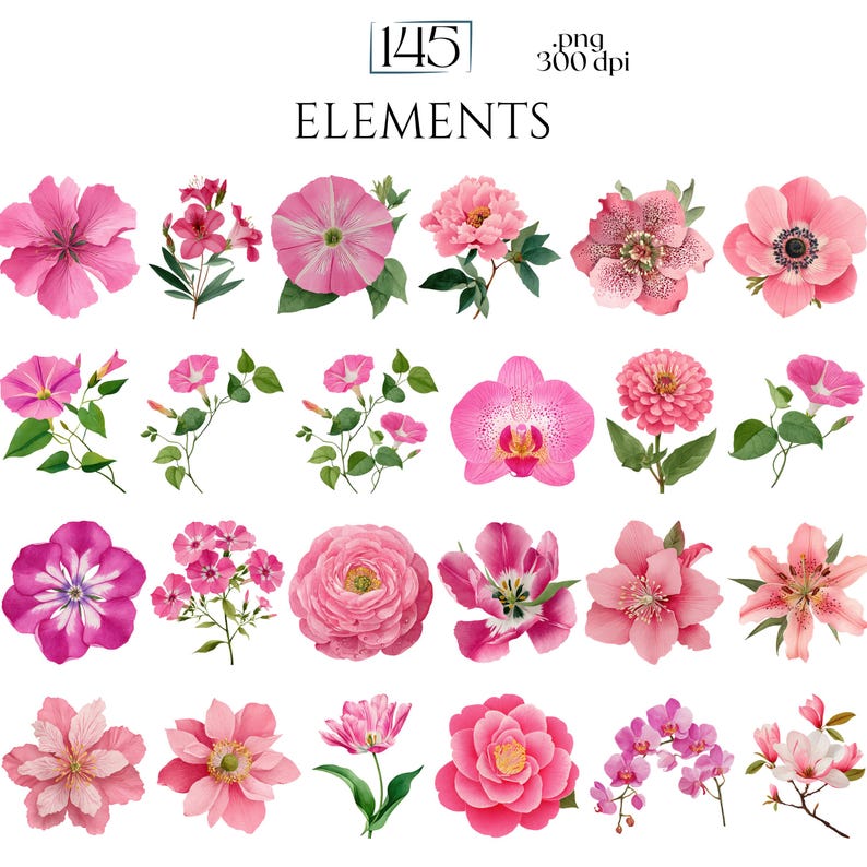 Pink Watercolor Flowers Clipart, Elegant Botanical PNG Bundle, Floral Illustrations for Wedding Invitations, Pinky Ephemera, Bloom Stickers